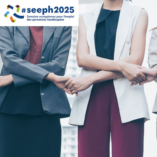 Cliquez pour agrandir l'image