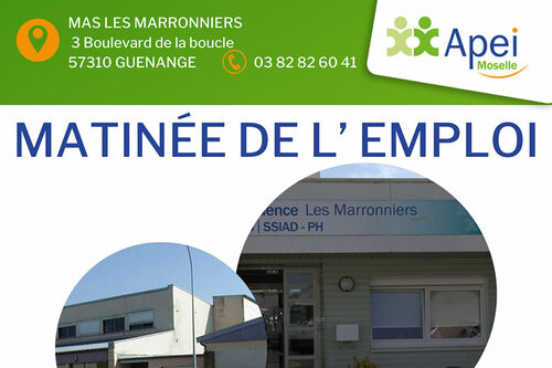 Cliquez pour agrandir l'image