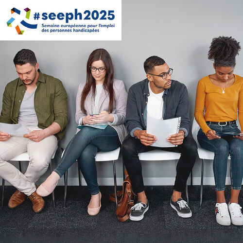 Cliquez pour agrandir l'image