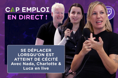 Cliquez pour agrandir l'image