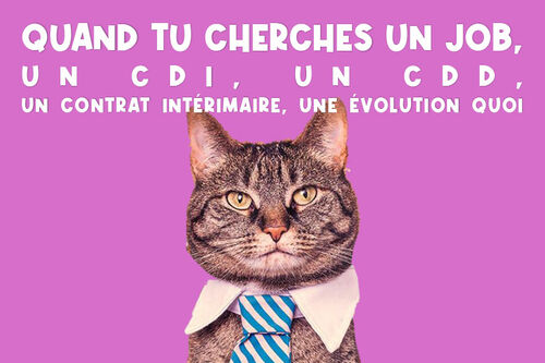 Cliquez pour agrandir l'image