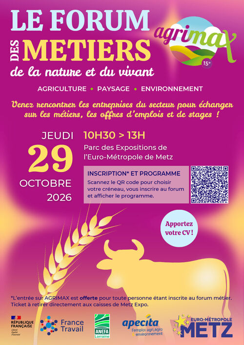 Cliquez pour agrandir l'image