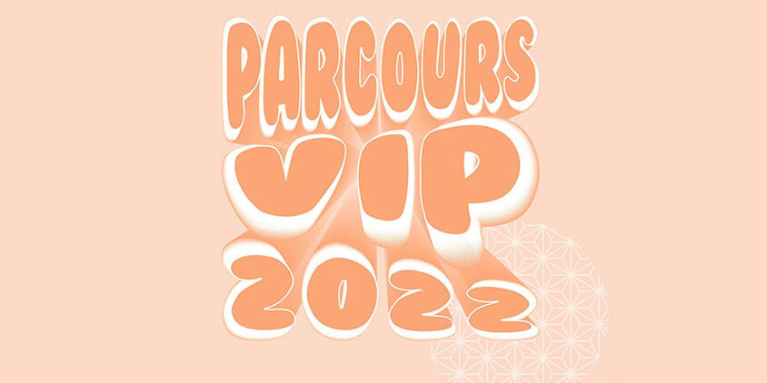 Parcours V.I.P (Vers l’Insertion Professionnelle)